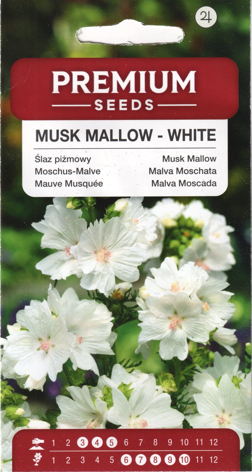 Muskus-kassinaeris "White Musk"