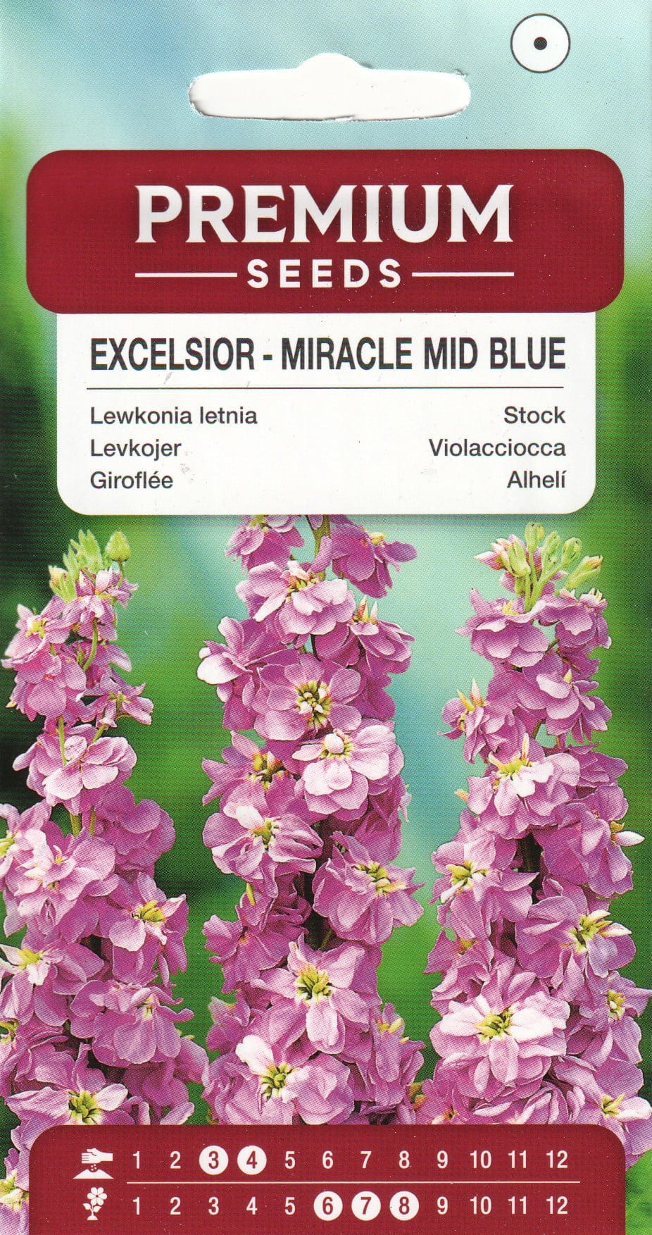 Levkoi "Excelsior Miracle Mid Blue"