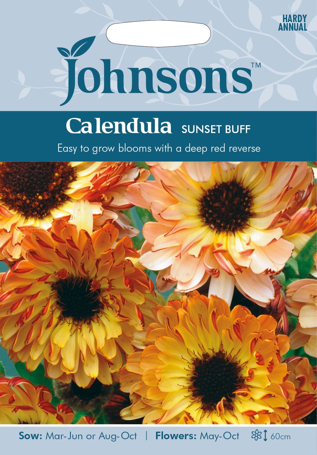 Saialill "Sunsett Buff"