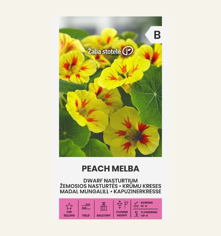 Suur mungalill  "Peach Melba"