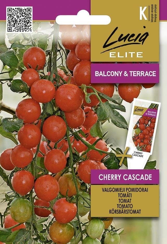 Tomat "Cherry Cascade"