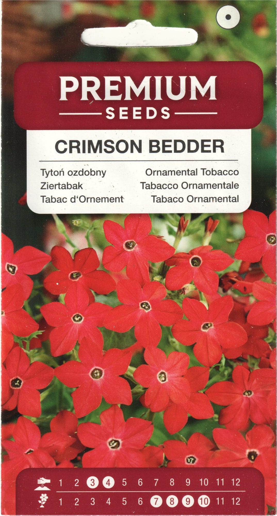 Lilltubakas "Crimson Bedder"