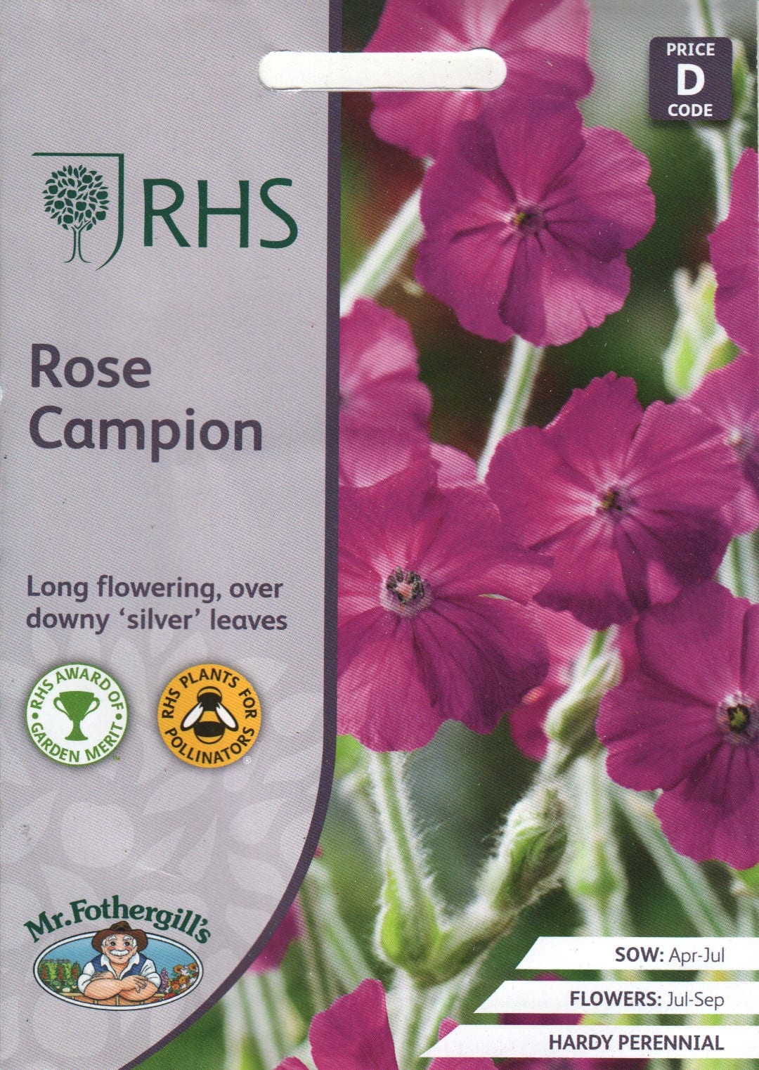 Hall käokann "Rose Campion"