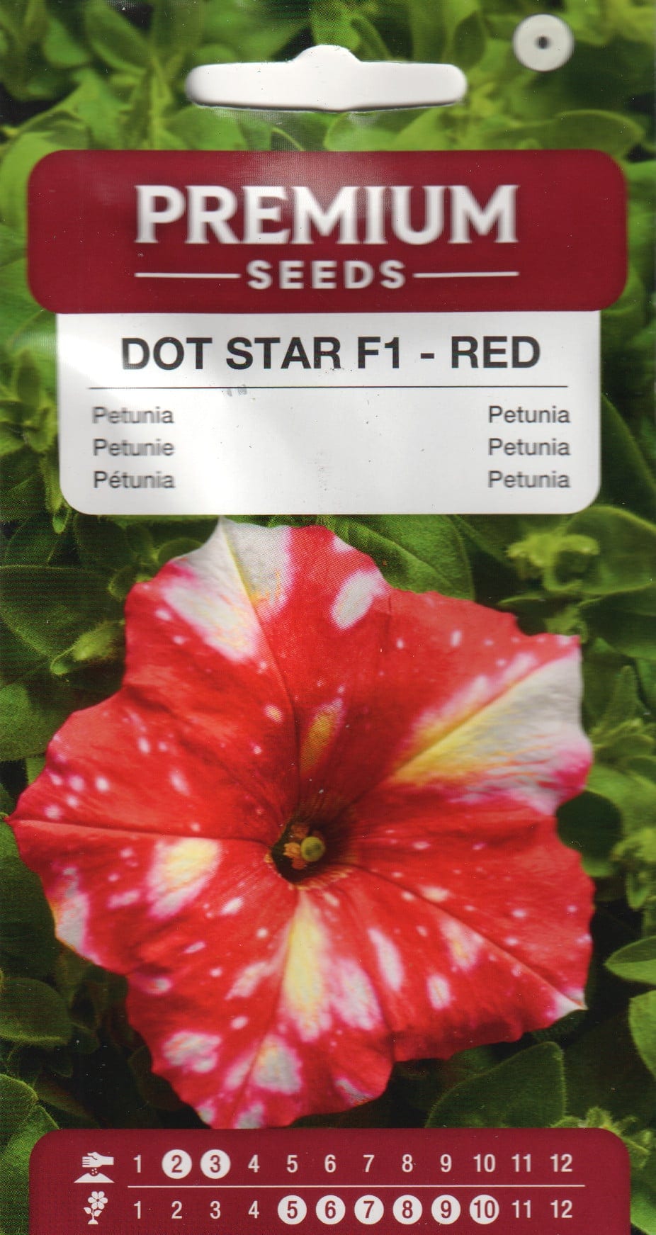 Petuunia "Dot Star Red" F1