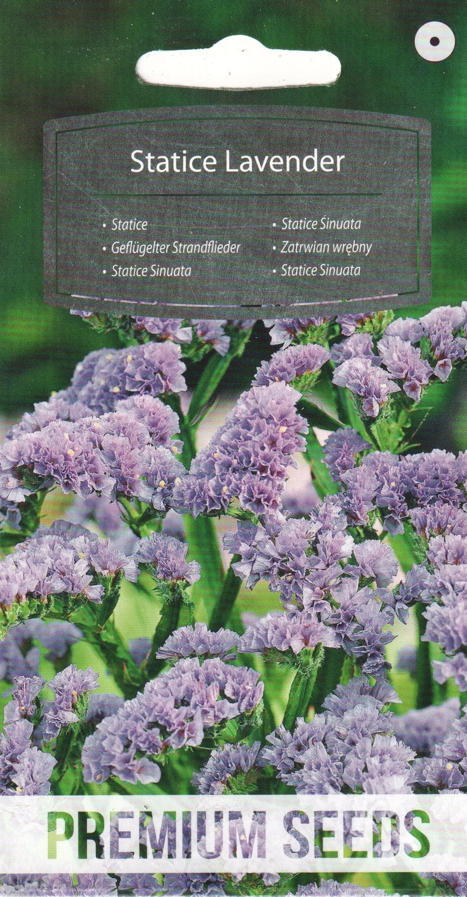 Kääruline parkjuur "Lavender"