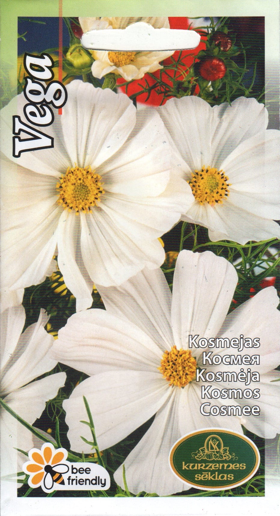 Kosmos kääbuskasvuline "White Vega"