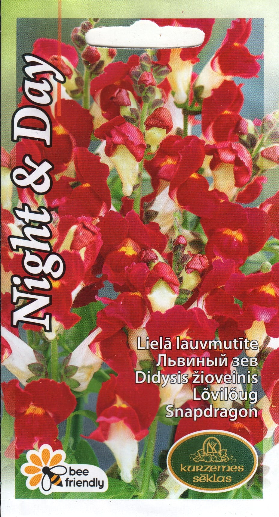 Lõvilõug "Night & Day"