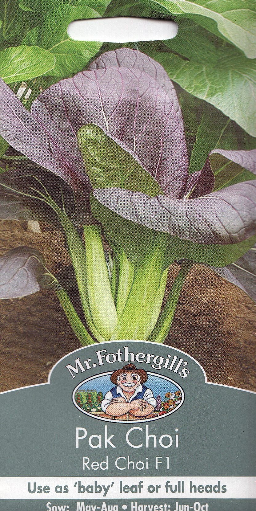Hiina lehtnaeris "Red Choi" F1