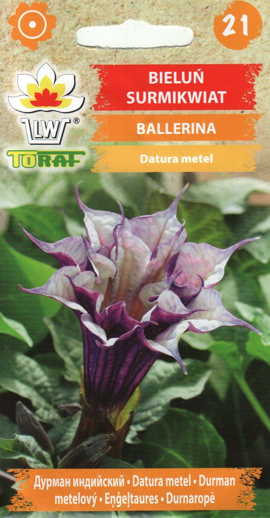 Kuradi ogaõun "Ballerina"