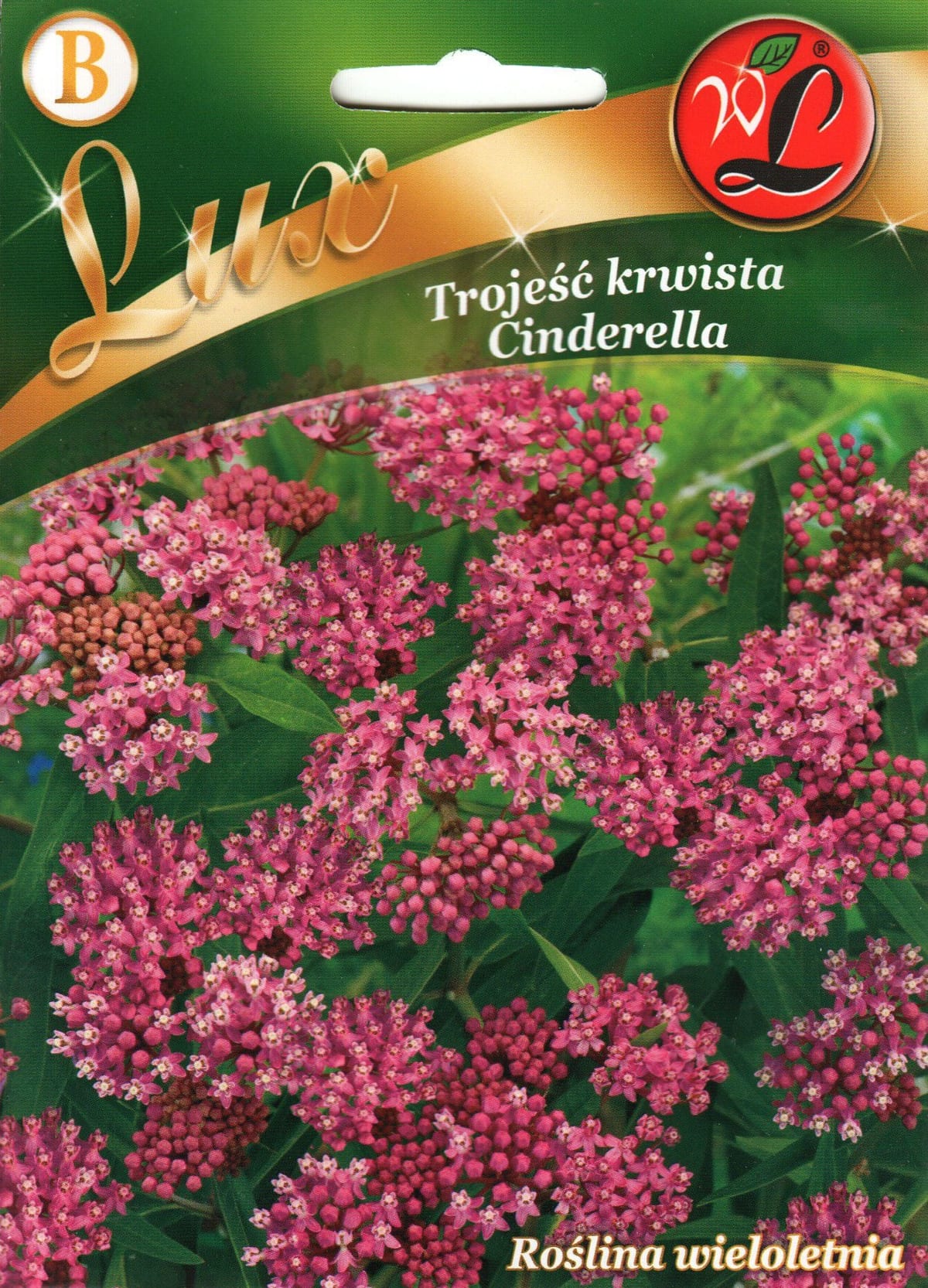 Kahkjaspunane askleepias "Cinderella"