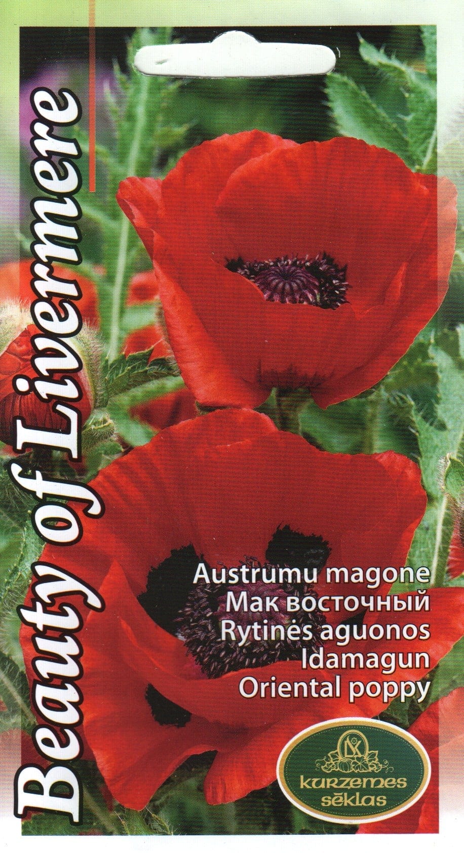 Idamagun "Beauty of Livermere"