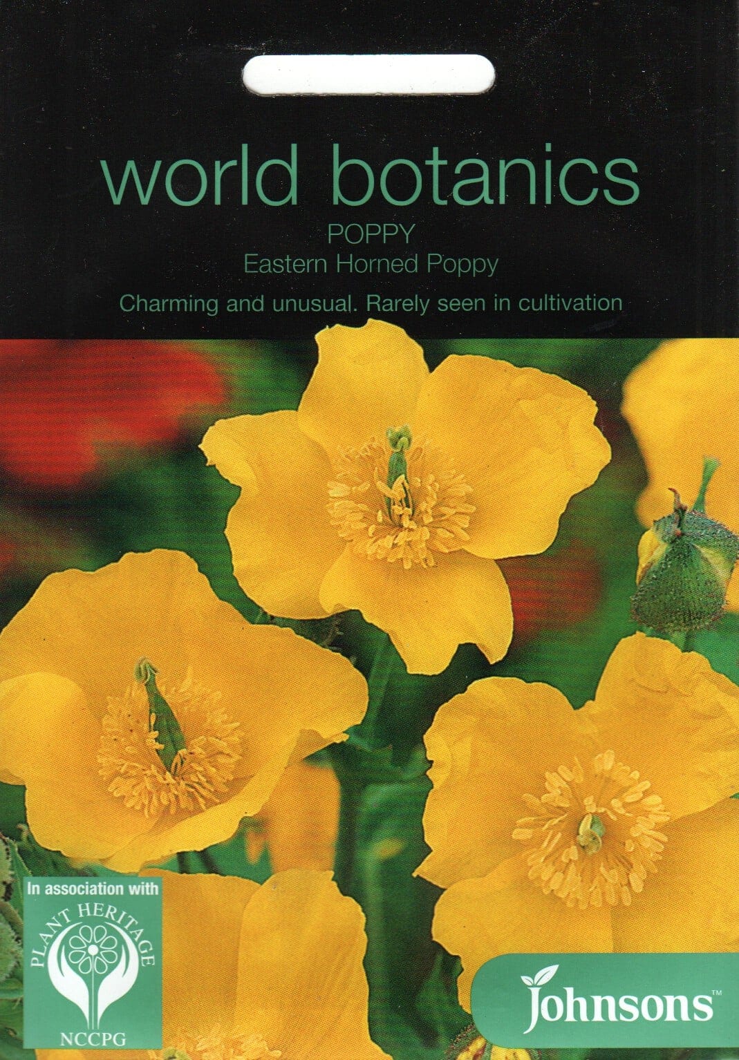 Hiina kirnurohi "Eastern Horned Poppy"