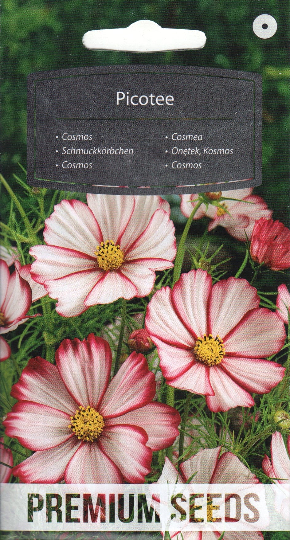 Kosmos "Picotee"