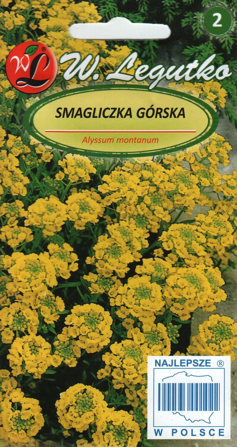 Mägi-kilbirohi