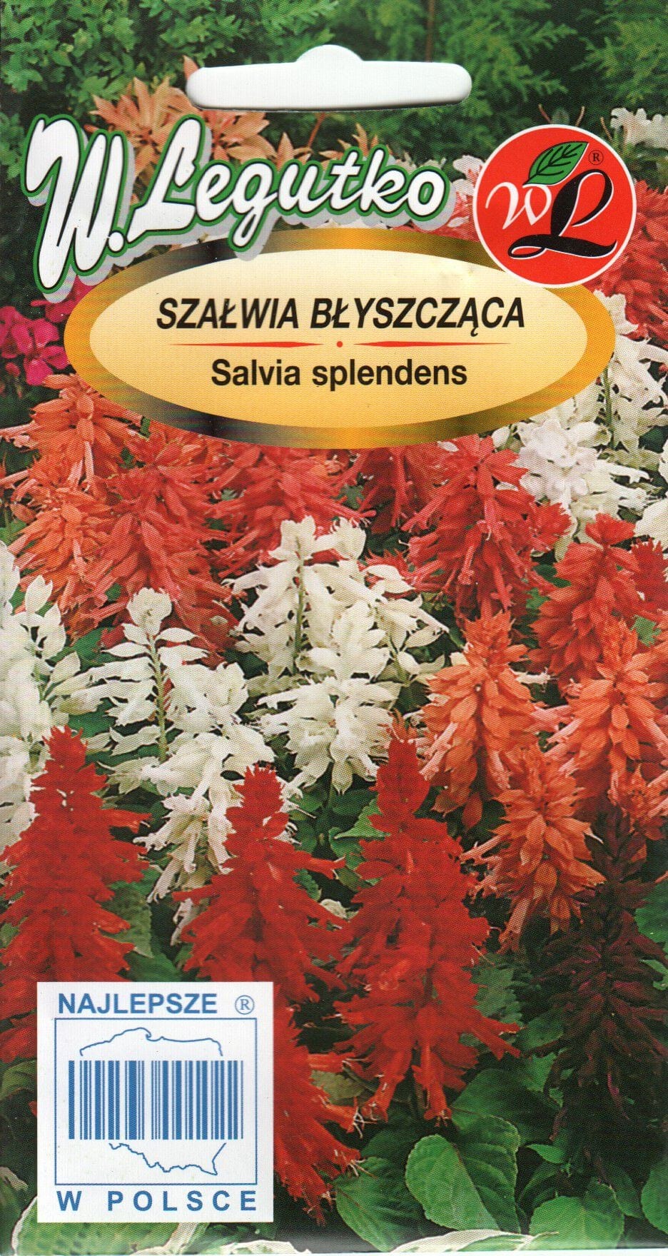 Leeksalvei segu