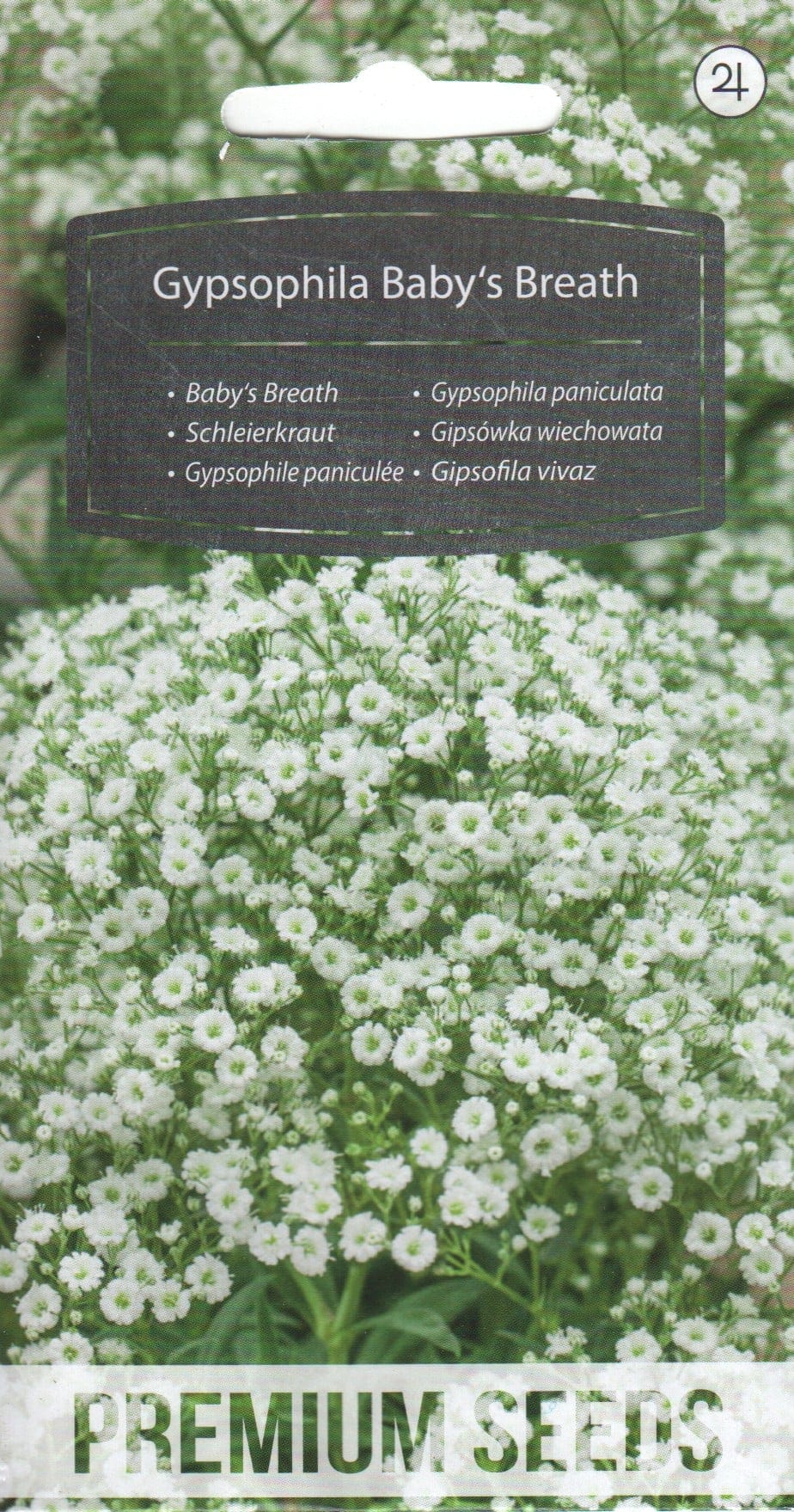 Pööris-kipslill "Baby`s Breath"