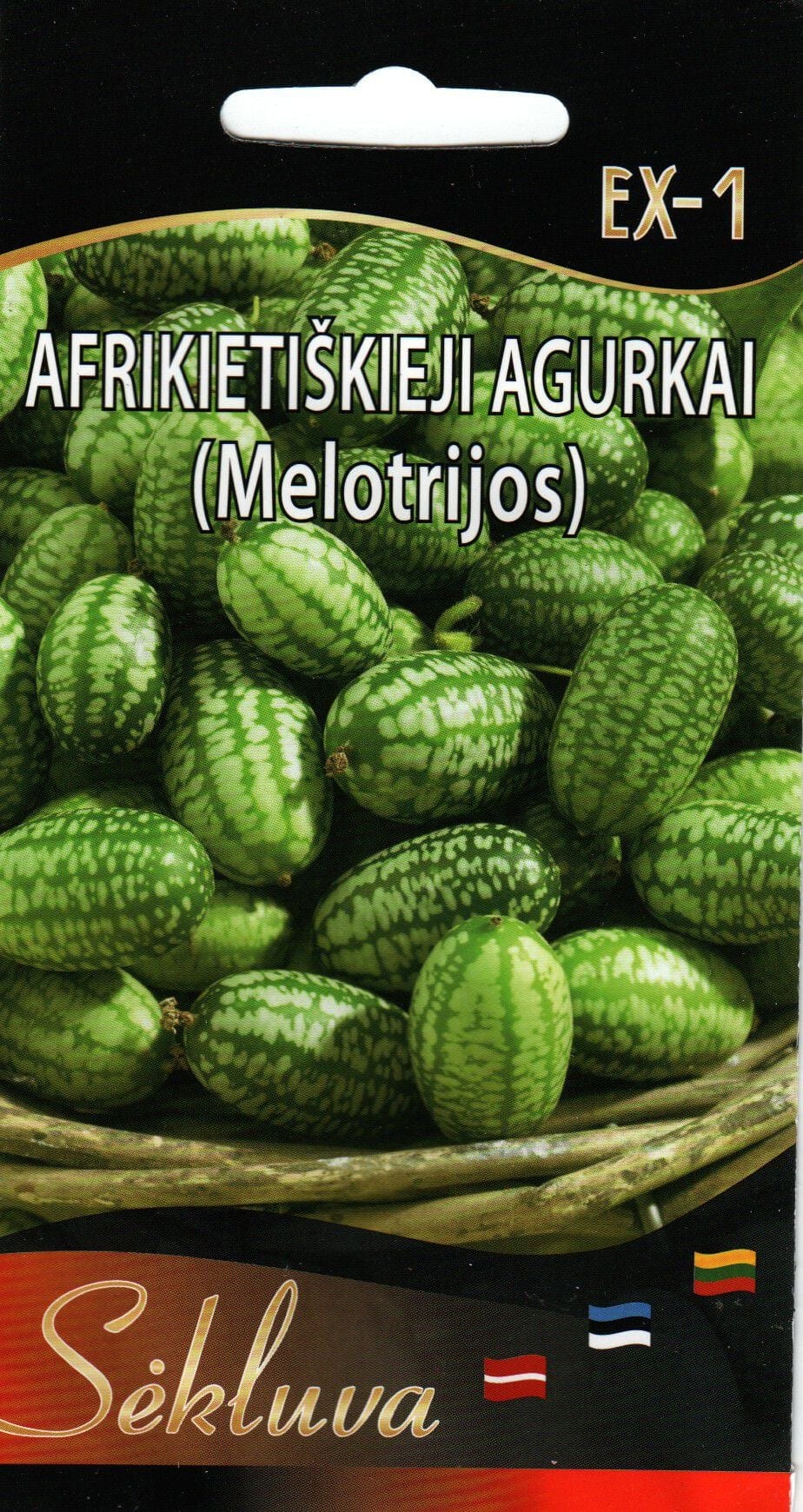 Mehhiko pisikurk