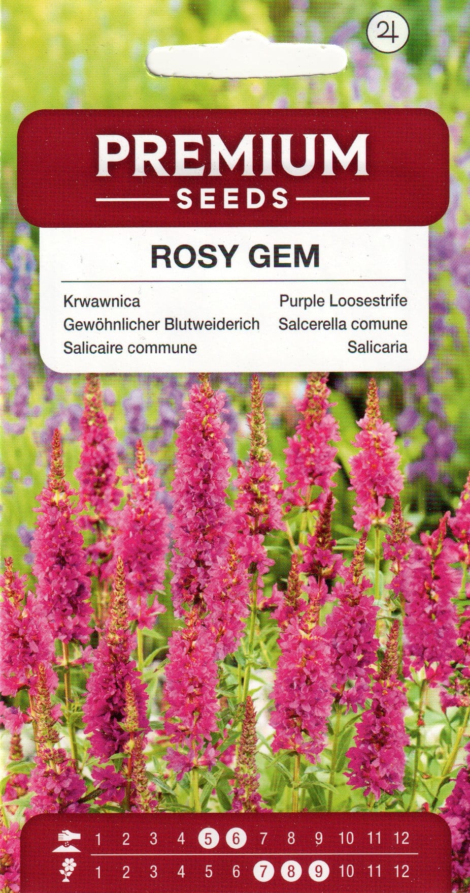 Harilik kukesaba "Rosy Gem"