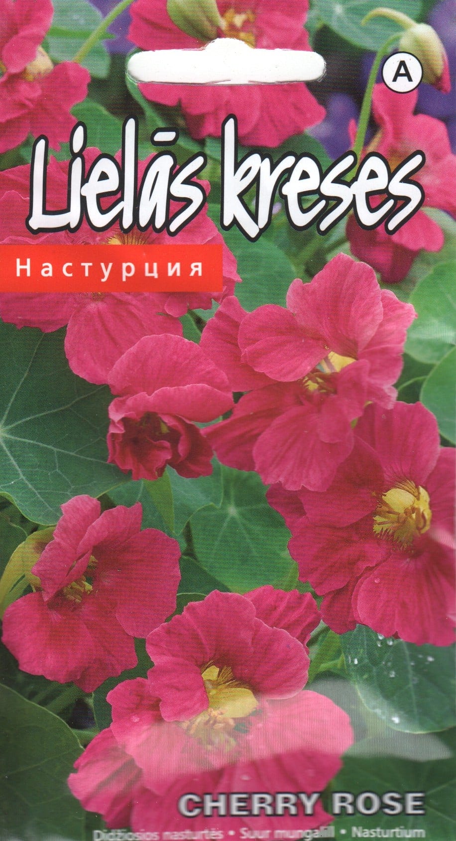 Mungalill "Cherry Rose"