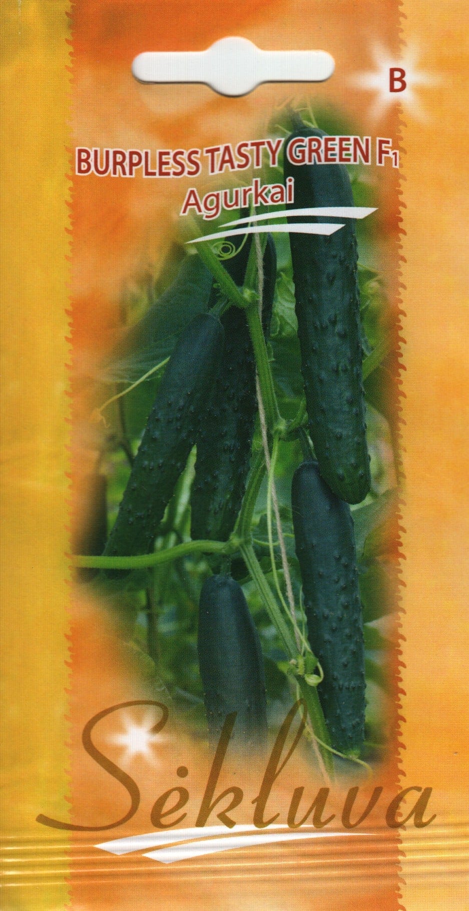 Kasvuhoonekurk "Burpless Tasty Green" F1