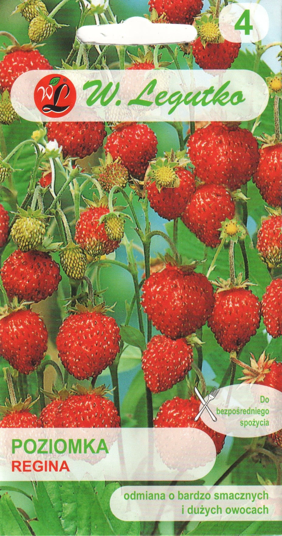 Kuumaasikas "Regina"
