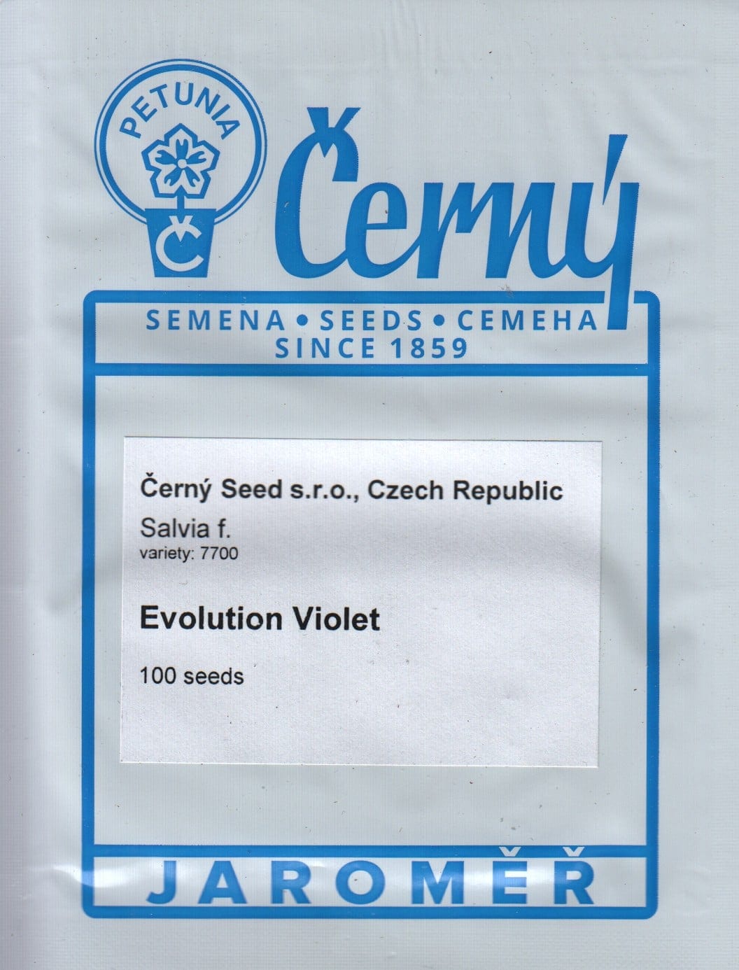 Hall salvei "Evolution Violet"