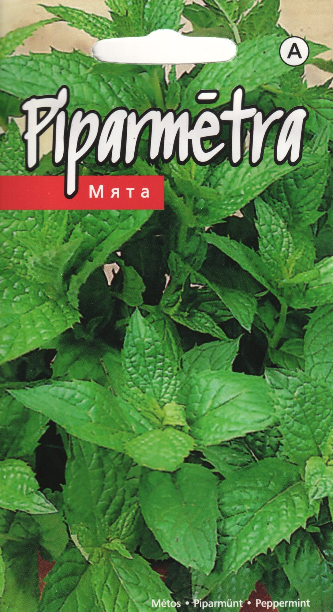 Piparmünt