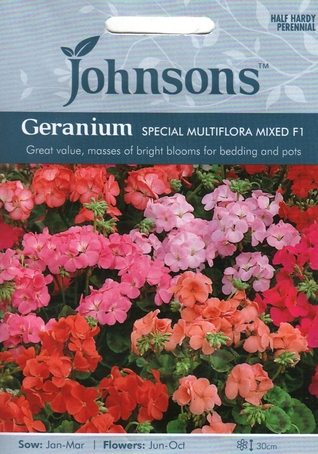 Viirpelargoon "Special Multiflora Mixed" F1