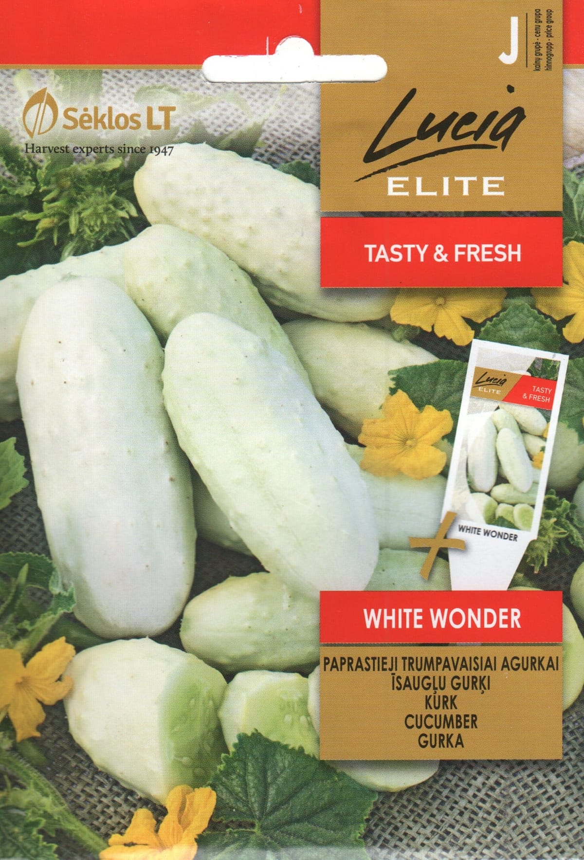 Avamaakurk "White Wonder"