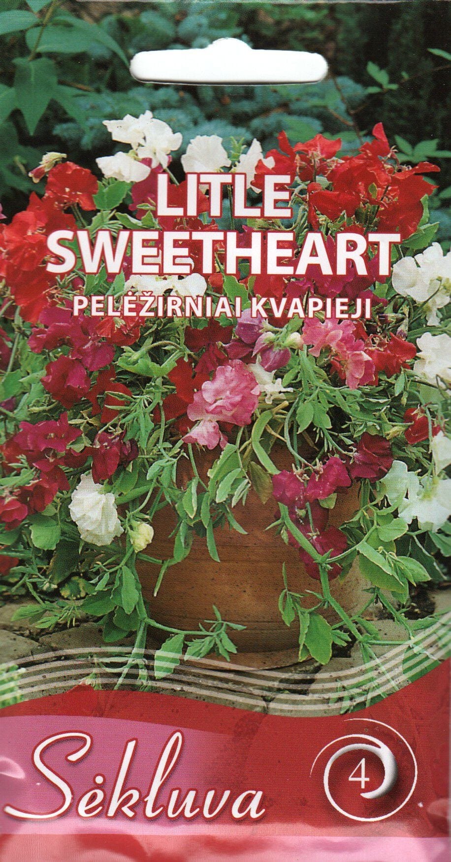 Lillhernes "Little Sweetheart"