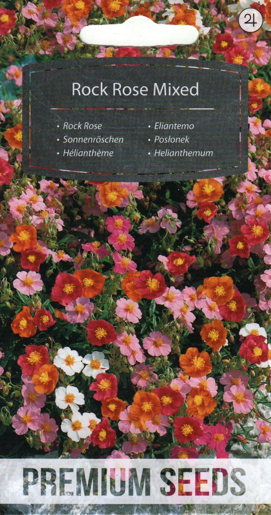 Harilik kuldkann "Rock Rose"