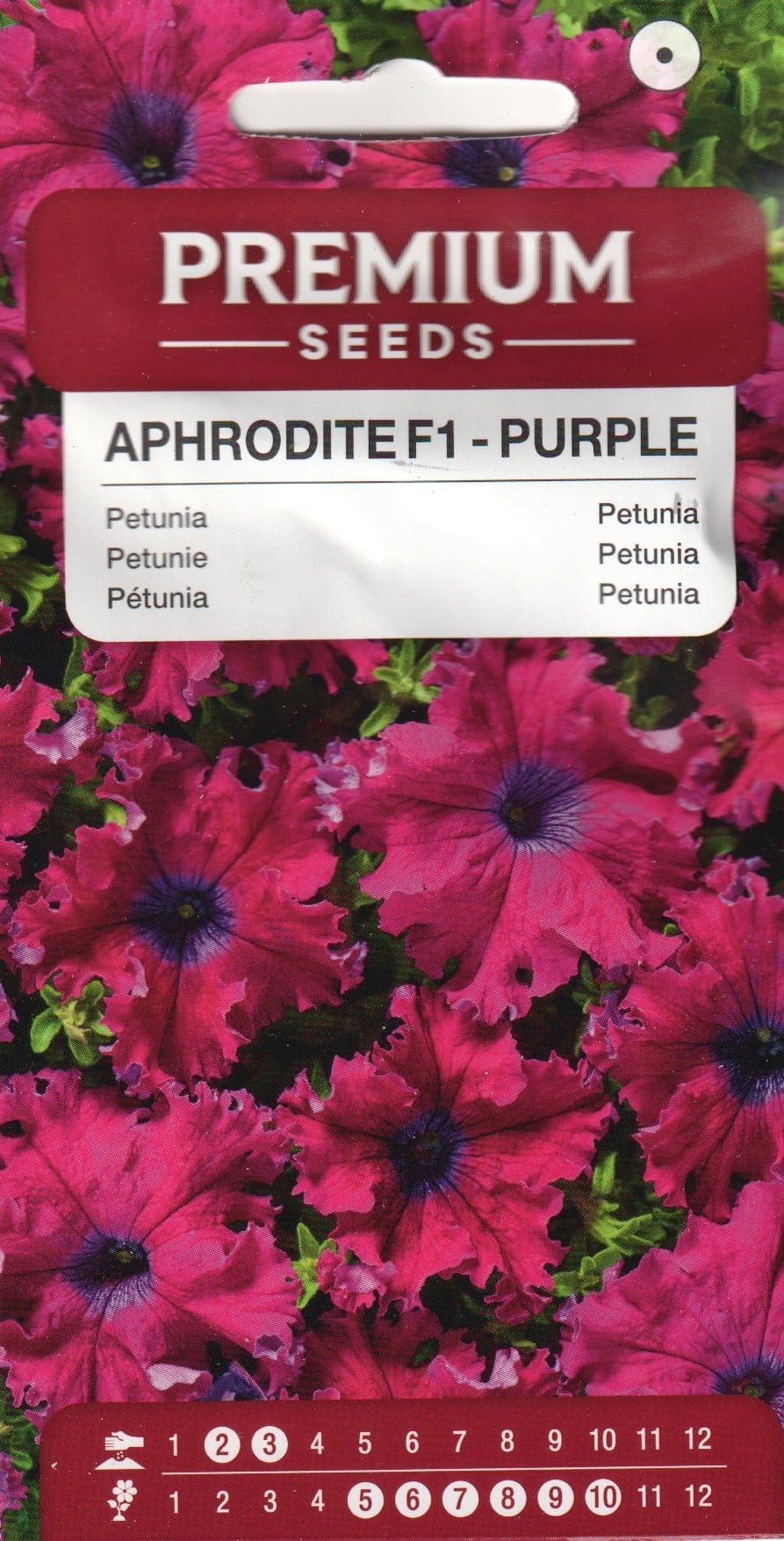 Petuunia "Aphrodite Purple" F1