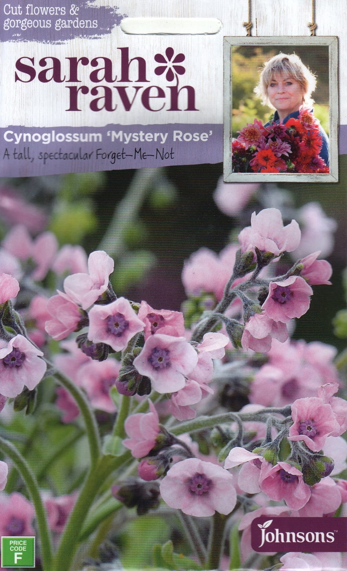 Aedrass "Mystery Rose"