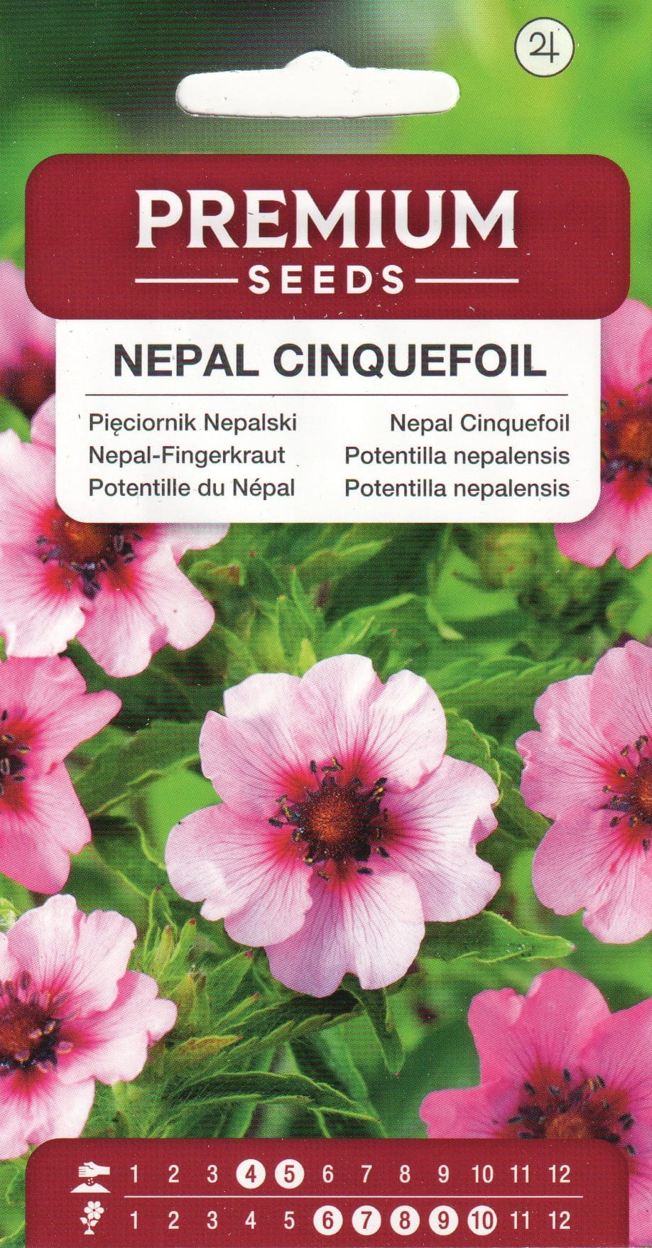 Nepaali maran