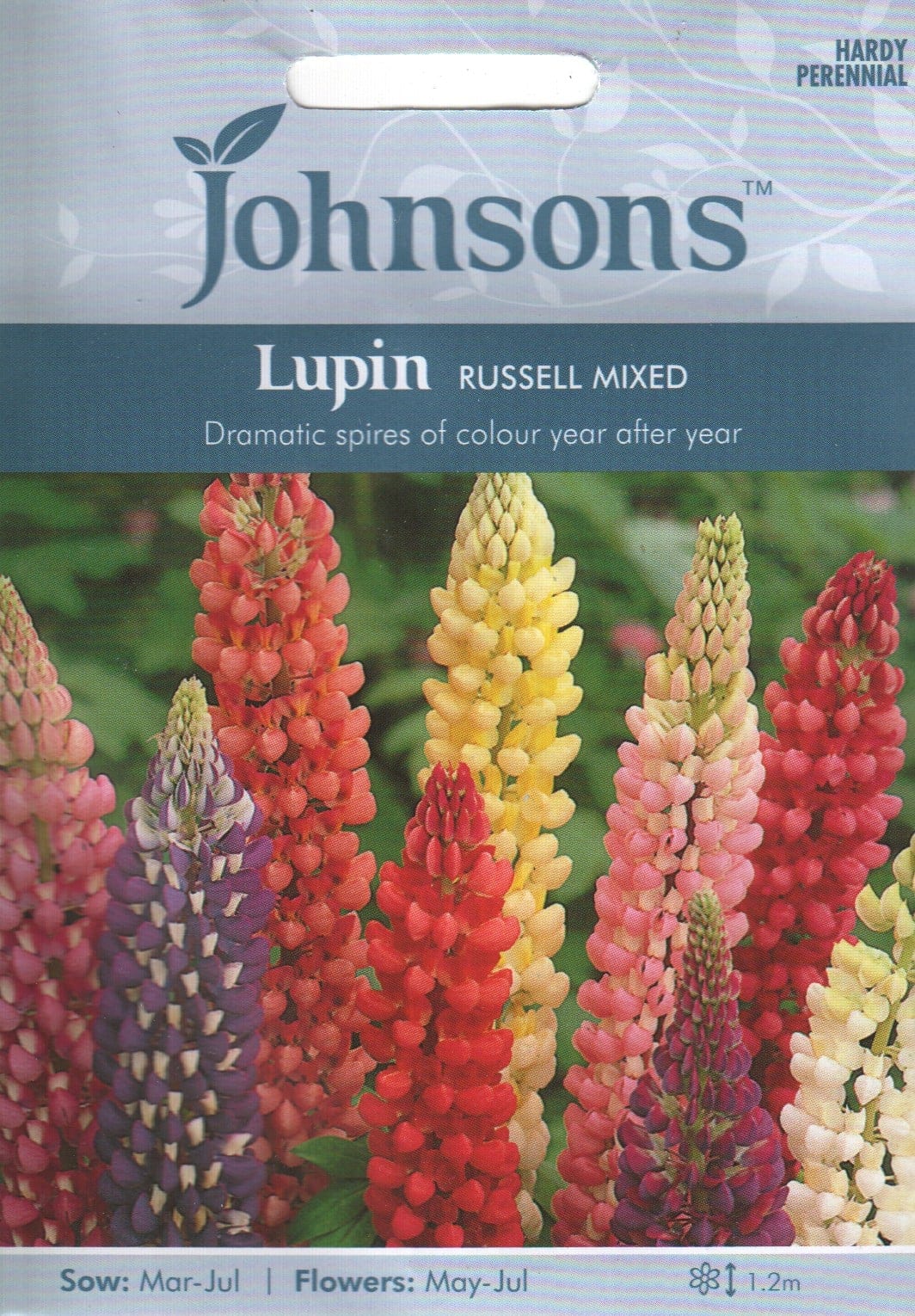 Hulgalehine lupiin "Russell Mixed"