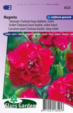 Šaboonelk "Magenta"