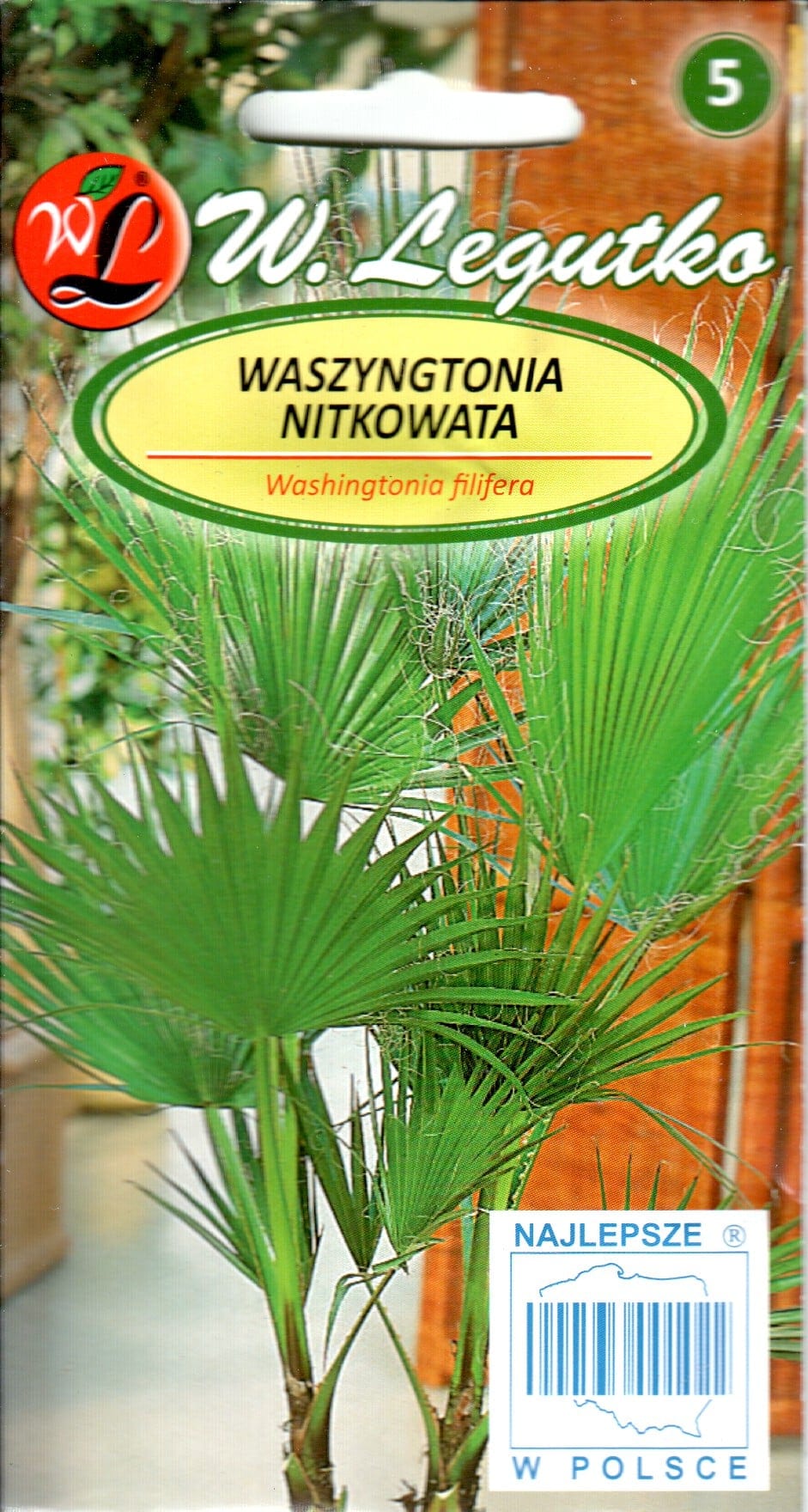 Kiuline vašingtooniapalm