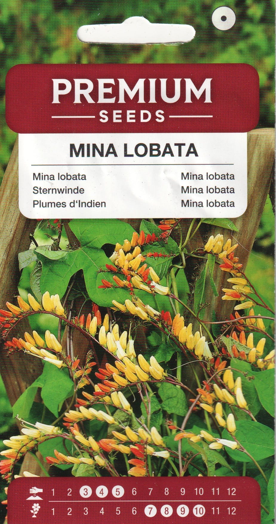 Miina ehk hõlmine lehtertapp