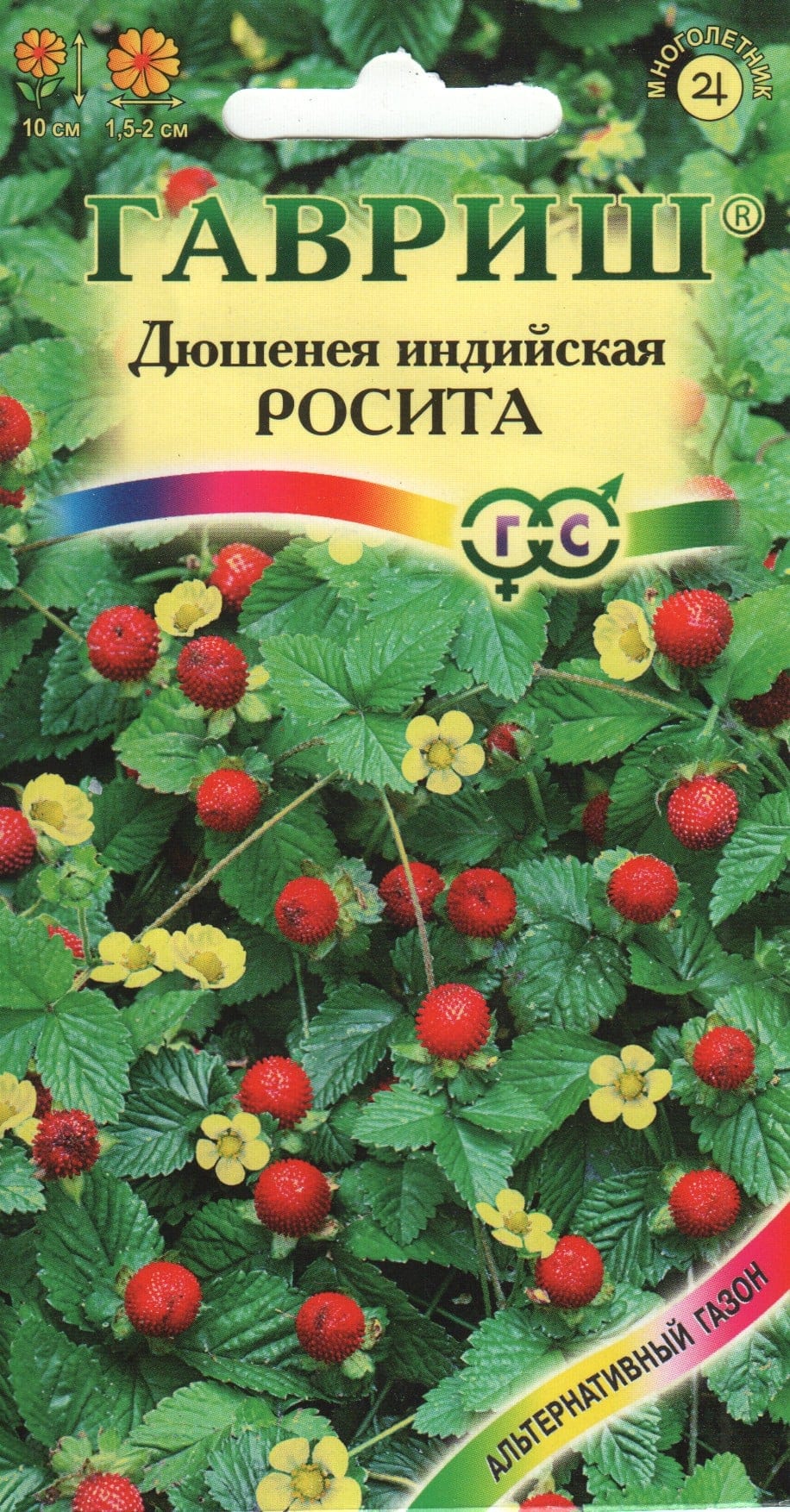 India ebamaasikas "Rosita"