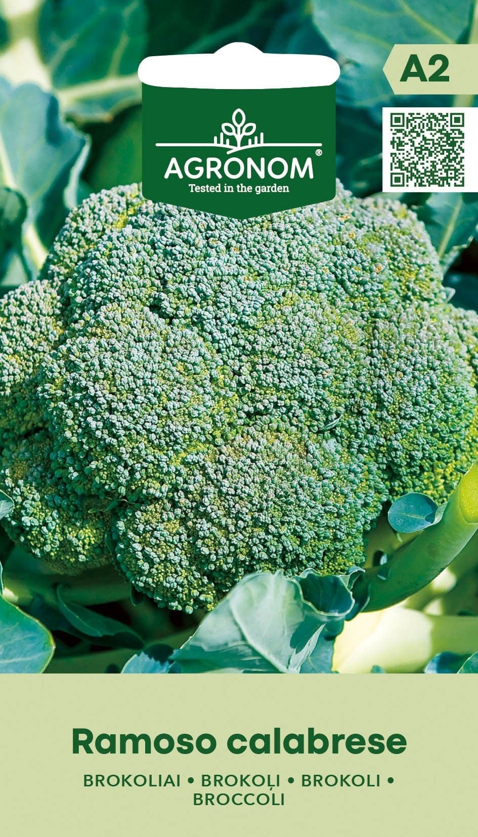 Spargelkapsas "Ramoso Calabrese"