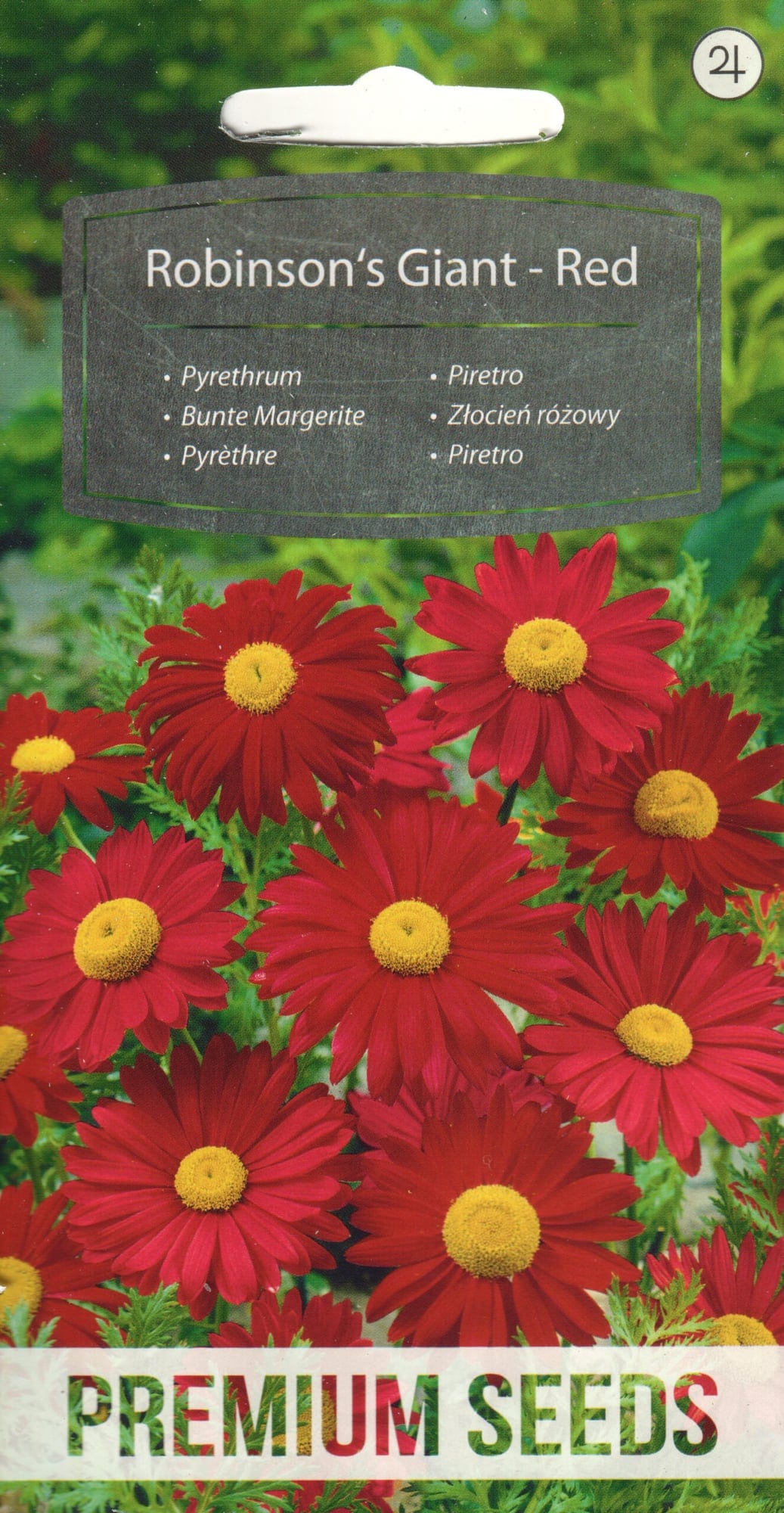 Roosa neitsikummel "Robinson`s Giant Red"