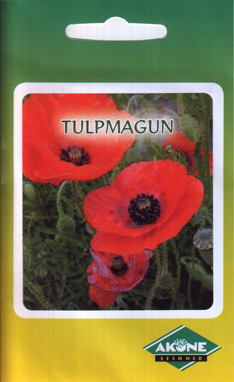 Tulpmagun