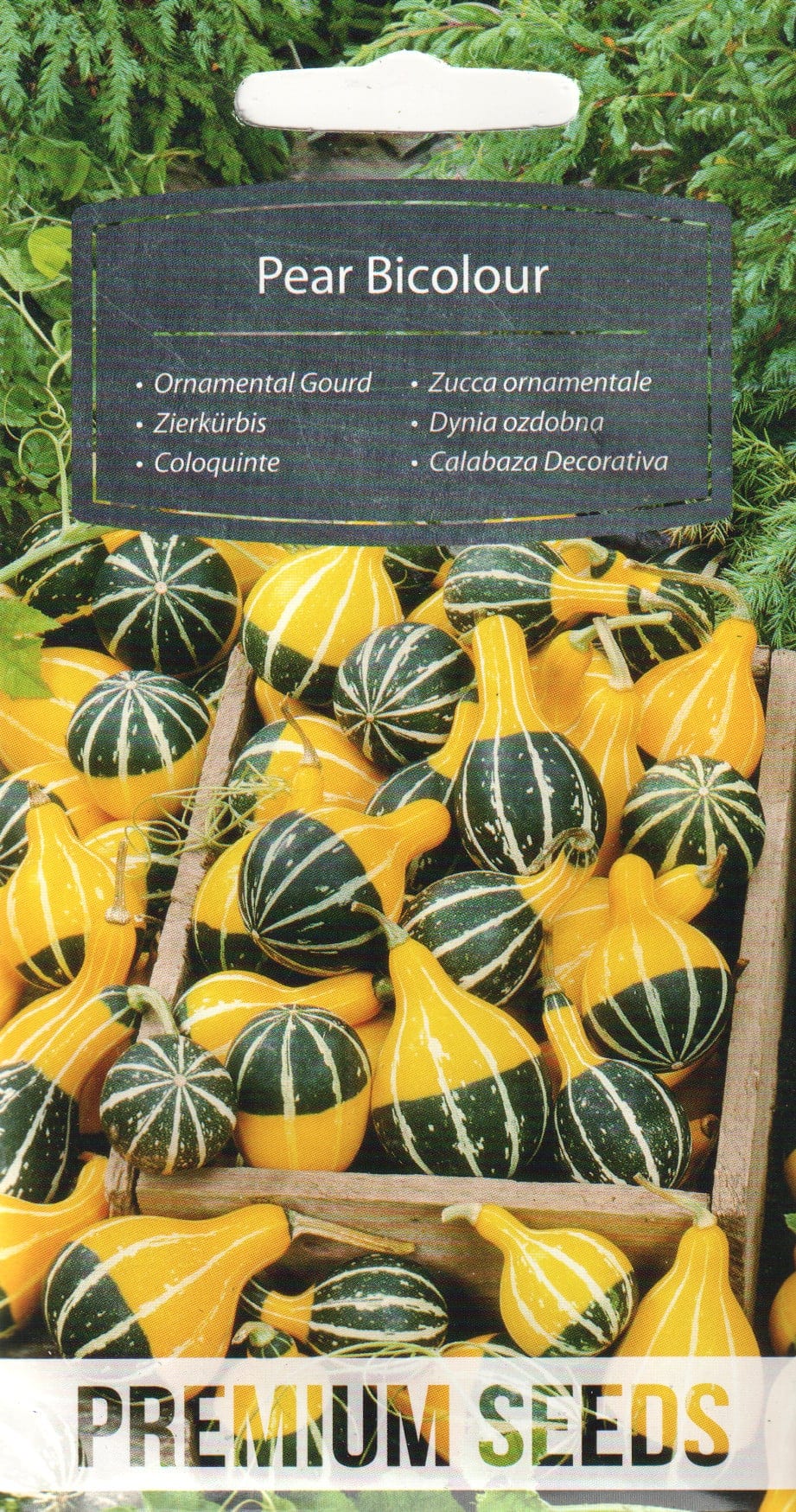 Dekoratiivkõrvits "Pear Bicolour"