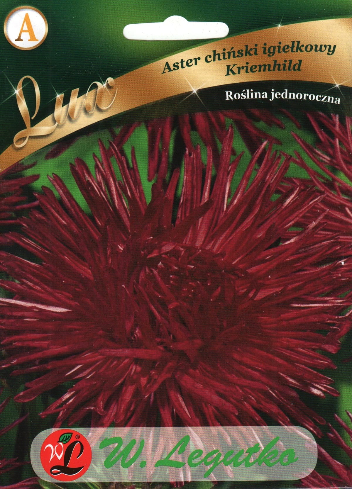 Aster "Kriemhild"