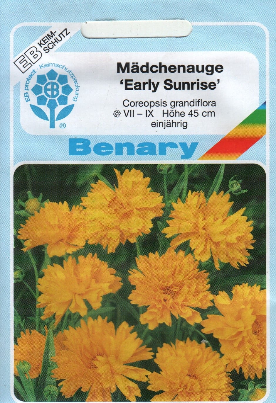 Suureõieline neiusilm "Early Sunrise"