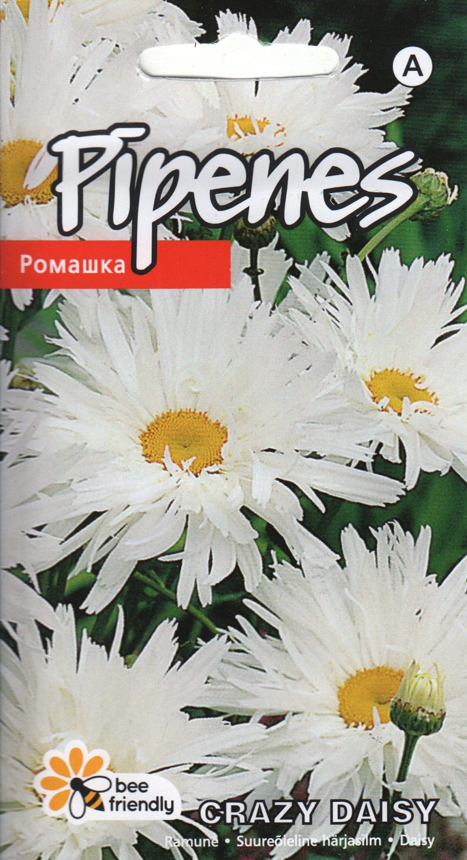 Suur härjasilm "Crazy Daisy"