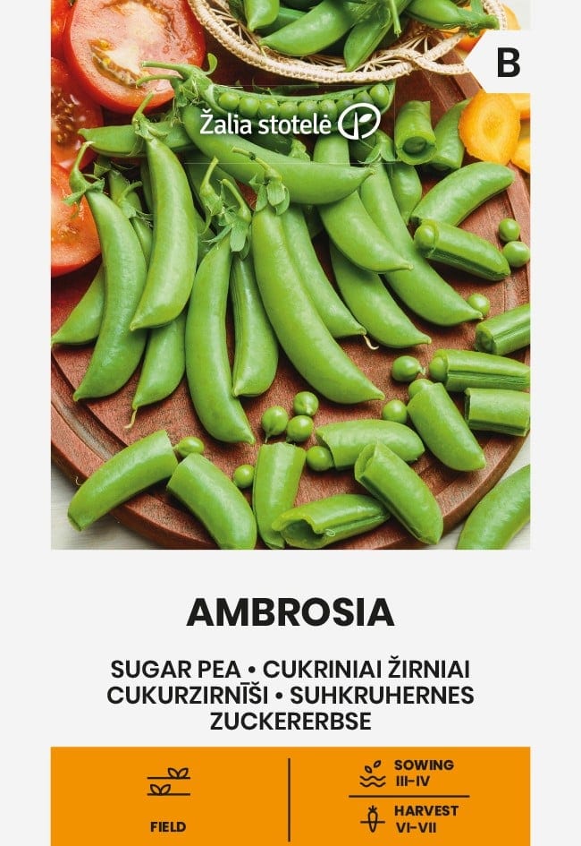 Suhkruhernes "Ambrosia"