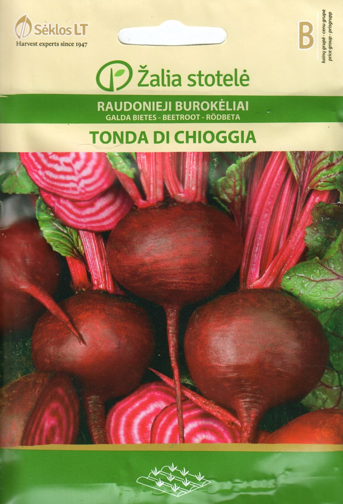 Peet "Tonda di Chioggia"