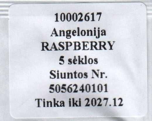 Inglilill "Raspberry"