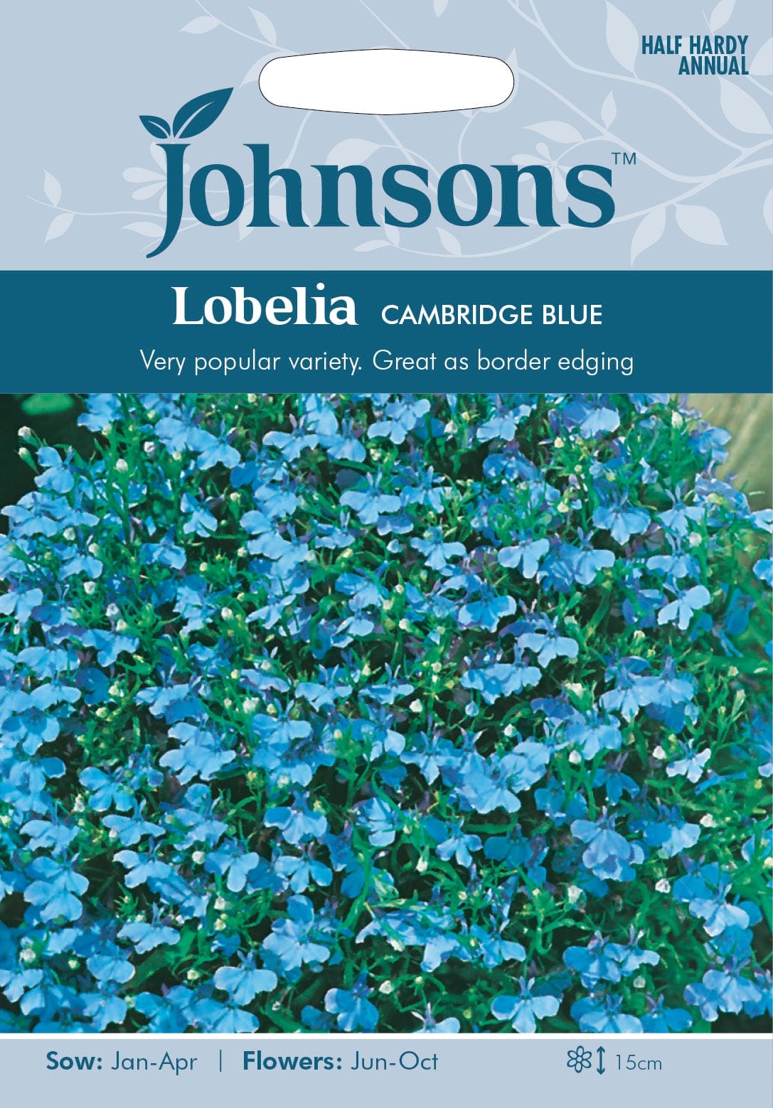 Lobeelia "Cambridge Blue"